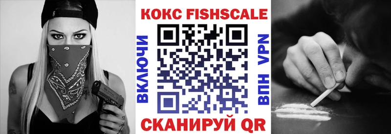 Купить закладки  Унеча  Кокаин Fish Scale 
