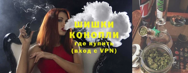 гидра Надым