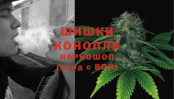 гидра Надым