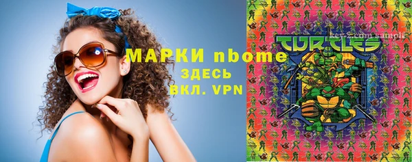 гидра Надым