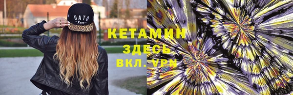 прущие грибы Навашино
