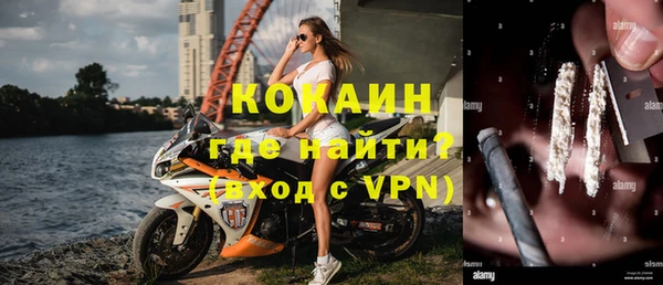 гидра Надым