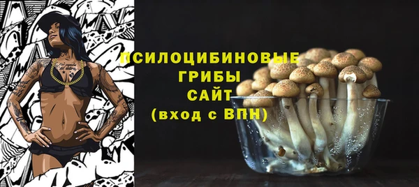 прущие грибы Навашино