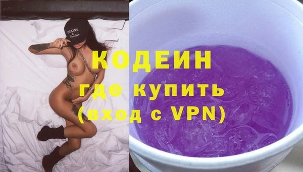 гидра Надым