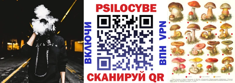 Купить  Унеча  Галлюциногенные грибы GOLDEN TEACHER 