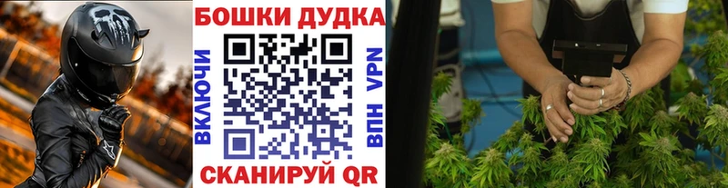 Купить где  Унеча  Бошки Шишки гибрид 